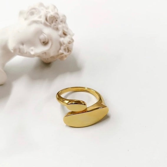 Geometric Resizable Ring