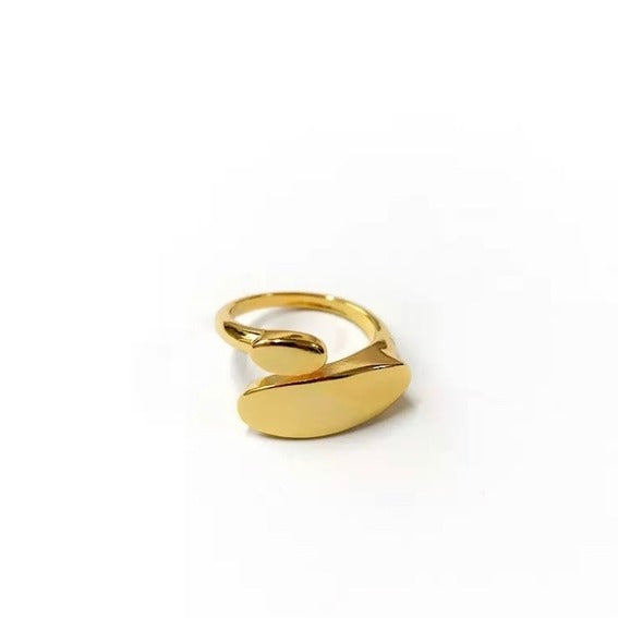 Geometric Resizable Ring